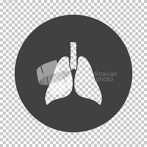 Image of Human Lungs Icon