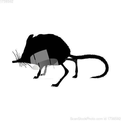 Image of Spiny Pocket Mice Silhouette