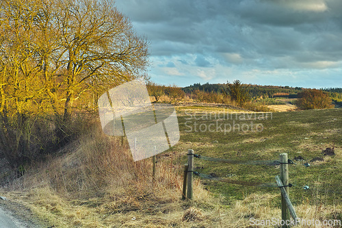 Image of Autumn, nature or field and landscape in countryside with tree, cloudy sky or mountain environment in Denmark. Agriculture, land or woods for sustainability, scenery or location on grass for ecology