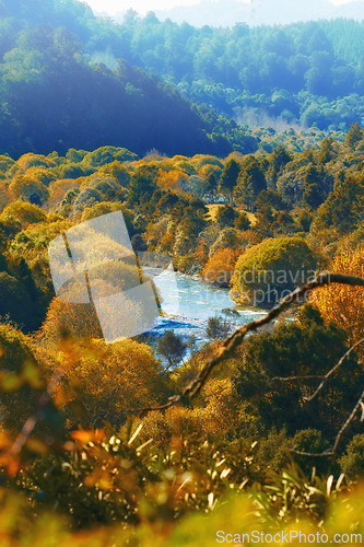 Image of Autumn, river and valley or landscape in countryside with trees, forest and environment in New Zealand. Agriculture, stream and woods for sustainability, scenery and location outdoor for ecology