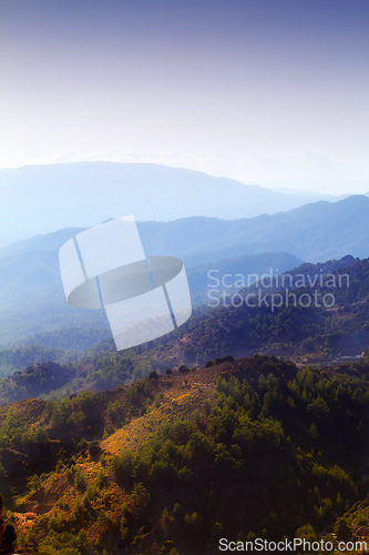 Image of Mountain, fog and natural landscape with bush, cloudy sky and calm hill for travel location. Nature, morning and sustainable environment with earth, peace and holiday destination with conservation