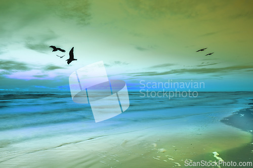 Image of Sunset, sky and birds by ocean on beach with scenery for travel, vacation or holiday destination. Seascape, dawn and avian flying by sea on tropical island in evening for summer weekend trip.