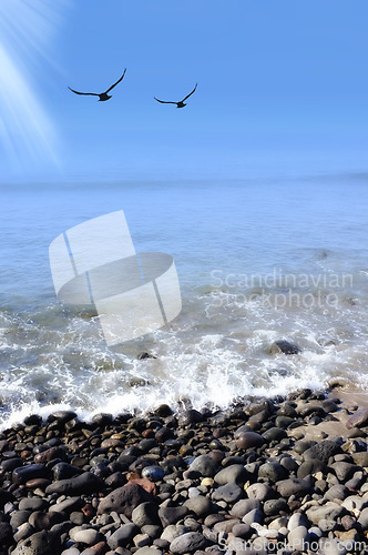 Image of Birds, landscape and rocks by ocean in nature for travel destination, holiday and vacation. Natural background, summer and waves, sea and water for scenic view in environment, ecosystem and horizon