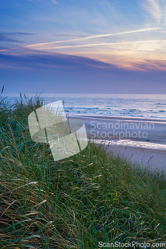 Image of Grass, sunset and ocean by beach in nature for travel, vacation or holiday destination. Outdoor, lawn and plants by sea waves at outdoor tropical island for summer weekend trip by coast in evening.