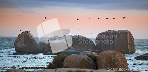 Image of Nature, birds in sky and rocks in ocean for travel destination, holiday and vacation. Natural background, summer and waves, sea and water for scenic view in environment, ecosystem or tropical horizon