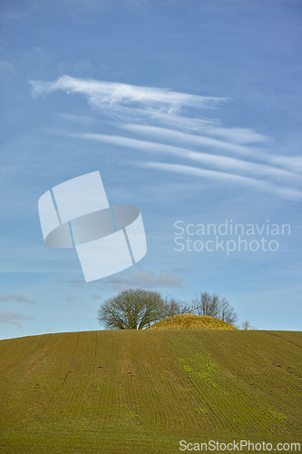 Image of Landscape, field and mound with trees or blue sky in nature with horizon, grass and natural environment in Mexico. Land, meadow and grassland for farming, agriculture and cultivation in countryside