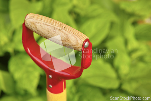 Image of Garden, tool and spade for nature closeup, environment and planting equipment for growth and agriculture. Greenery, ecology and plant in sunshine, for spring and natural conservation with maintenance