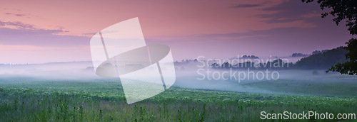 Image of Flower, field and fog in nature environment or sunset sky in countryside or travel location, grassland or outdoor. Land, mist and cloud in England forest or cold weather in meadow, plants or panorama