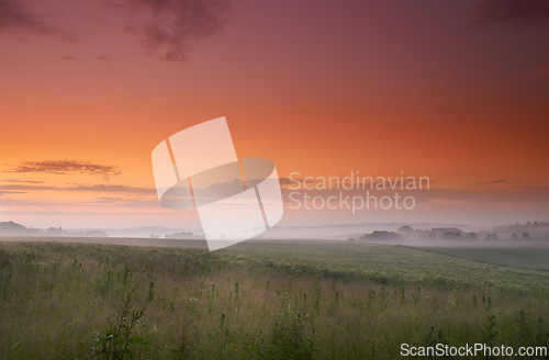 Image of Sunset, fog or field of grass in countryside, pasture or scenery for landscape, banner or wallpaper. Mist, dramatic sky or sunlight for mystical, rural or panorama of peaceful grassland screen saver