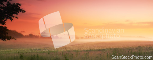 Image of Sunlight, grass and fog in countryside, field and panorama for landscape, banner or wallpaper. Mist, dramatic and sky for sunrise, serenity and natural scenery for screen saver of peaceful grassland