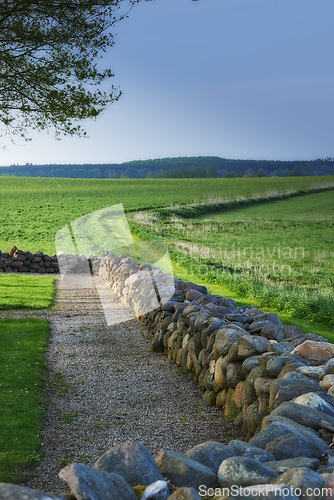 Image of Landscape, field and fence with rock for agriculture in nature with horizon, grass and natural environment in Amsterdam. Land, meadow and farmland for farming, conservation and trees in countryside