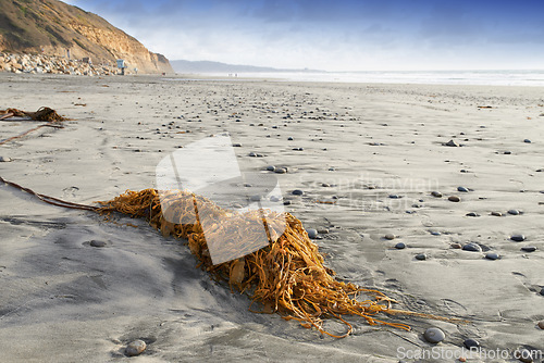 Image of Beach, sand and skyline with shoreline or coast, nature and tropical island for summer vacation or holiday. Environment, location and landscape with no people, earth and horizon for peace or view