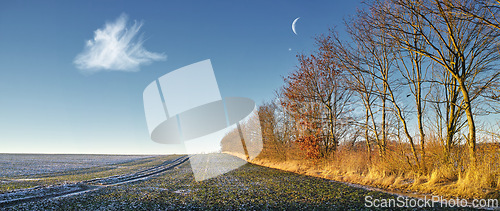 Image of Farm, field and frost on grass in landscape with trees, blue sky with moon and countryside in winter. Calm, nature and environment for agriculture with ice on pasture ground in banner of forest woods