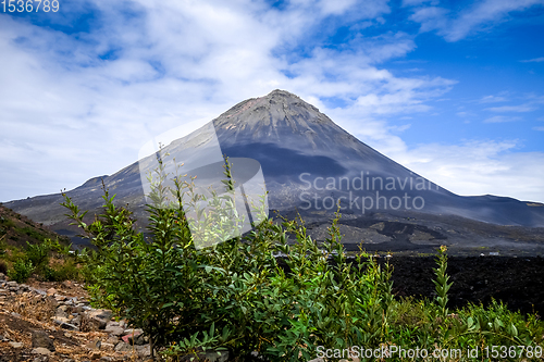 Image of Pico do Fogo, Cha das Caldeiras, Cape Verde