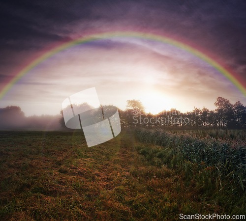 Image of Field, farm and rainbow or grass environment or sky sunset in countryside meadow or vegetation, wheat or flora. Plants, nature and forest with lens flare or outdoor climate or remote, view or morning