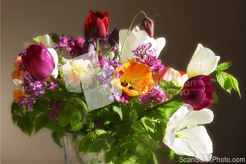 Image of Flowers, bouquet and spring plant in a vase in a home with green and colorful floral arrangement. Rose, petal and blossom from garden for a gift, present or giving in house with bloom and no people