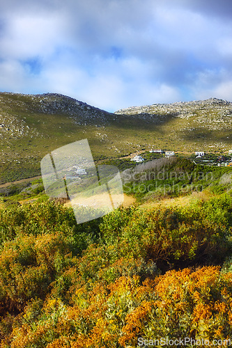 Image of Outdoors, town and trees or field in countryside, ecosystem and calm hill for holiday or vacation. Peace, sustainable environment and travel to relax in South Africa, plant and cloudy sky for ecology