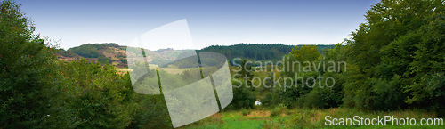 Image of Outdoors, nature and woods or field in countryside, ecosystem and calm for holiday or vacation. Peace, sustainable environment and travel to relax in New Zealand, plants and landscape for banner