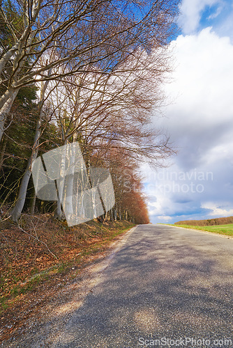 Image of Forest, road trip and natural landscape with trees, holiday or green scenery in countryside. Nature, woods and highway on journey, vacation or outdoor adventure on blue sky, clouds and autumn leaves.