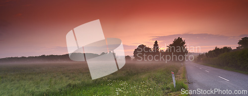 Image of Sunset, road or nature with countryside travel, holiday or vacation with sky landscape in Denmark. Background, path or street for journey, tourism or outdoor adventure with woods, trees or scenery