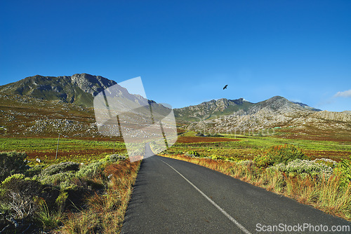 Image of Mountain, road trip and natural landscape with field, holiday or green scenery in countryside. Nature, grass and highway for journey, vacation or outdoor adventure with blue sky, relax and bird.