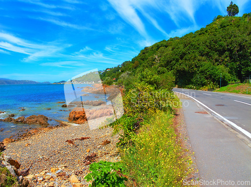 Image of Shoreline, beach and nature on coastal road, forest and summer landscape with sunshine. Blue sky, earth and trees with ocean and bushes on tar highway, outdoor and woods by seaside rocks and greenery