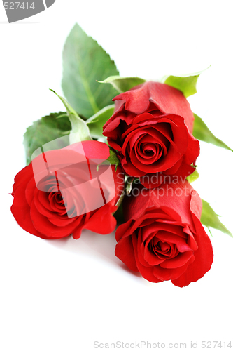 Image of three roses