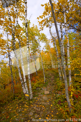 Image of Gateway to an October Trail