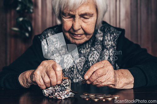 Image of Portrait of an old woman counting money. The concept of old age, poverty, austerity.