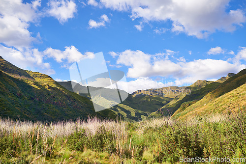 Image of Mountain, landscape and field in nature with blue sky, clouds and environment in summer. Countryside, hill and travel to meadow with grass, flowers and plants on earth with biodiversity in Africa