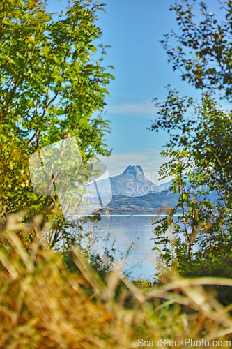Image of Trees, leaves and view of lake with mountain, nature and landscape of Norway environment for travel, camp and tourism. Green, foliage with water and blue sky, natural background in forest or woods