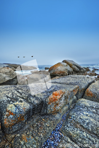 Image of Beach, stone and rocks in landscape of nature or environment with birds in blue sky at sea. Offshore, ocean and travel on vacation or holiday to South Africa in summer with calm water or waves