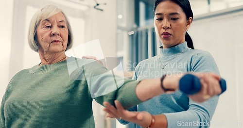Image of Senior care, training and physiotherapist with old woman, dumbbell and healthcare for nursing. Physio, rehabilitation and retirement with fitness, caregiver with elderly patient for mobility exercise