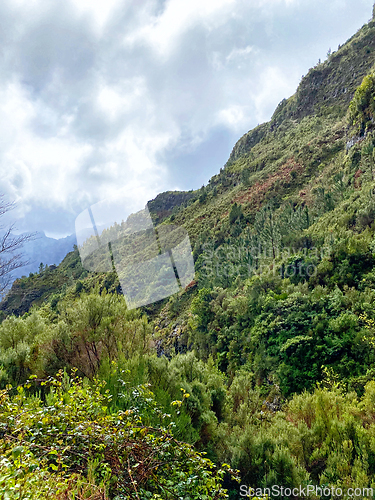 Image of beautiful Madeira landscape