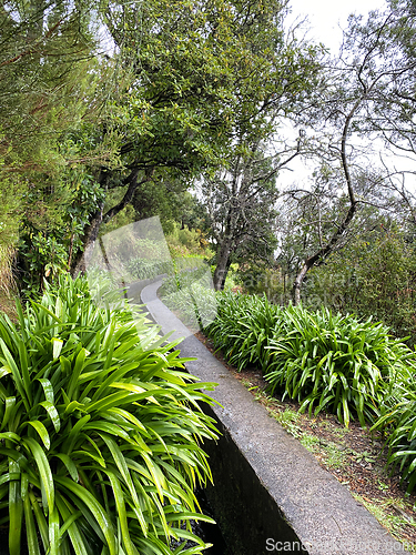 Image of beautiful Madeira landscape
