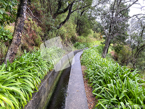 Image of beautiful Madeira landscape