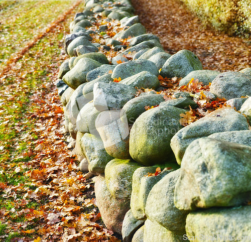 Image of Stone, rock and leaf on earth with grass for autumn, nature and countryside outside in environment. Turf, ground and boulder in forest, park or wood with moss for landscape, ecology or flora