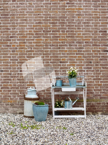 Image of Home, wall and flowers in garden watering can by brick, nature and spring for growth of plants. House, backyard and environment for agriculture of flora outdoor of apartment, green and ecology