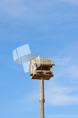 Image of Blue sky, wood and birdhouse or feeder hanging on pole, closeup and box for food of animal. Summer, outdoor and trunk of tree for home, seed and eating of Woodpecker in park of Australia in nature