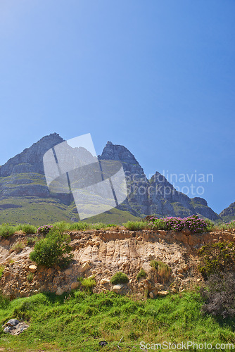 Image of Mountain, blue sky and travel location with flower, summer and journey in natural landscape. Landmark, nature and environment for outdoor adventure, explore and holiday destination in South Africa.