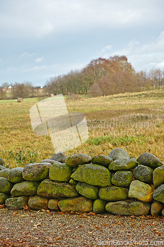 Image of Landscape, field and wall with stone for agriculture in nature with blue sky, grass and natural environment in Amsterdam. Land, meadow and farmland for farming, conservation and trees in countryside