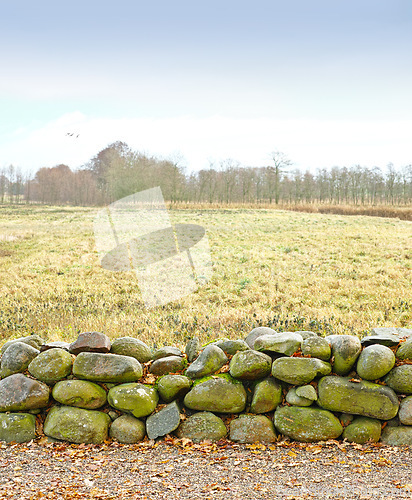 Image of Landscape, field and wall with stone for agriculture in nature with sky, grass and natural environment in Amsterdam. Land, meadow and farmland for cultivation, conservation and trees in countryside