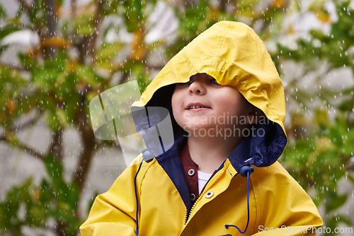 Image of Child, rain and raincoat outdoor in winter for fashion, jacket and cold weather in London. Little boy, male toddler and kid in drizzle by tree, bokeh or environment with windbreaker for chilly season