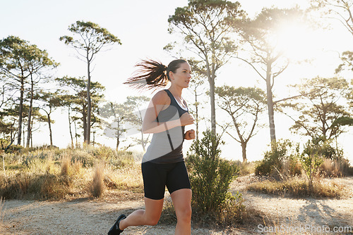 Image of Training, running and woman on road in forest for health, wellness and strong body development. Workout, exercise and girl runner on path in nature for marathon fitness, performance and challenge.