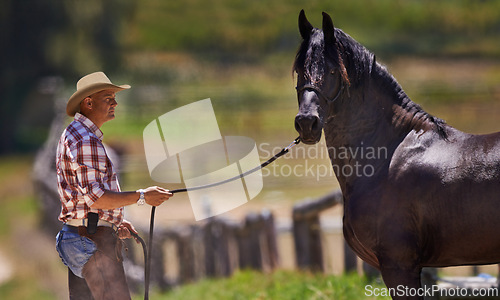 Image of Cowboy, horse and reins on farm in nature and equestrian park in western ranch in country. Strong, stallion or healthy animal of american quarter thoroughbred, outdoor and calm with trainer in texas