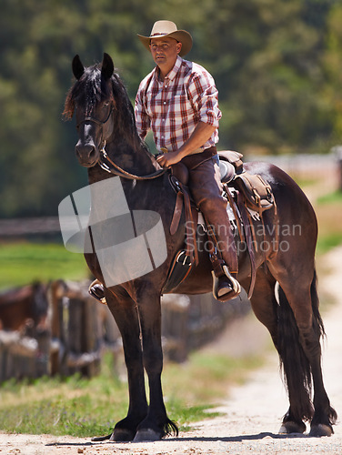 Image of Cowboy, farm and relax on horse in outdoor, wellness and equestrian sport on western ranch. Strong, stallion and jockey on healthy animal or arabian colt, friends and bonding together for training