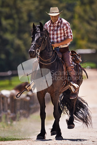 Image of Cowboy, horse and riding on ranch, equestrian and saddle ride on animal. Stallion, gallop or trot in countryside and outdoor with male senior person, farm and stable in Texas for exercise for mare
