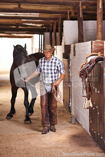 Image of Cowboy, person and horse in stable for portrait with care, growth and development at farm, ranch or countryside. Man, animal or pet with love, connection and bonding for wellness with nature in Texas