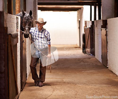 Image of Portrait, cowboy and man at barn with horse in a stable in Texas with mockup space. Animal, rancher and confident male person in western hat, casual clothes and a farmer with rope for equestrian