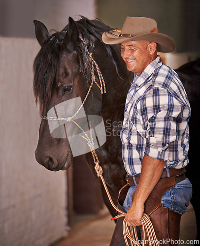 Image of Cowboy, man and horse in stable with walk, care and love for growth, development and guide at farm. Person, animal or pet with smile, connection and bonding for wellness with nature at ranch in Texas